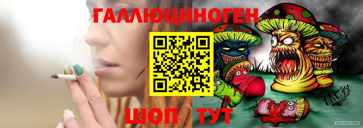 Мытищи  Галлюциногенные грибы MAGIC MUSHROOMS  Вход с VPN  Псилоцибиновые грибы MAGIC MUSHROOMS 